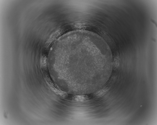 X0000103950623200810311551