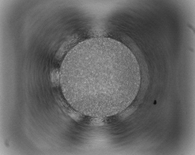 X0000103950624200810311551