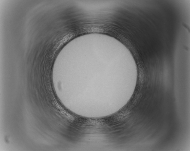 X0000103950625200810311550