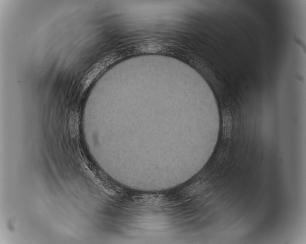 X0000103950626200810311550