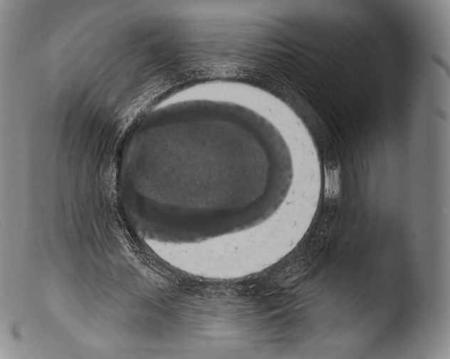 X0000103950627200810311550