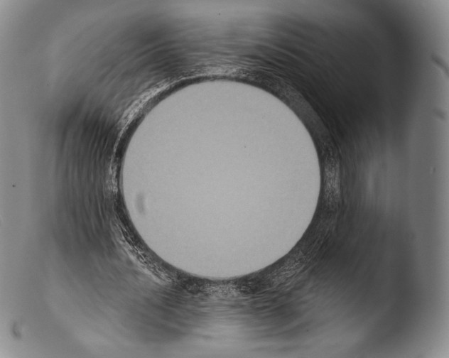 X0000103950628200810311550