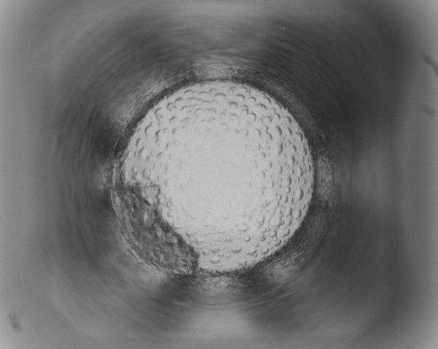X0000103950631200810311550