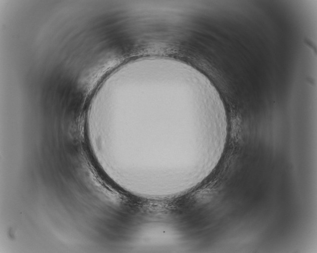 X0000103950632200810311550