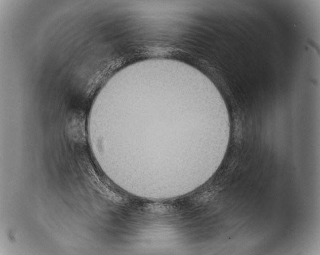 X0000103950633200810311550