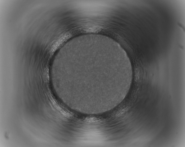 X0000103950634200810311550