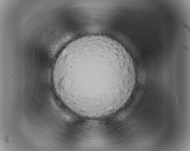 X0000103950635200810311550