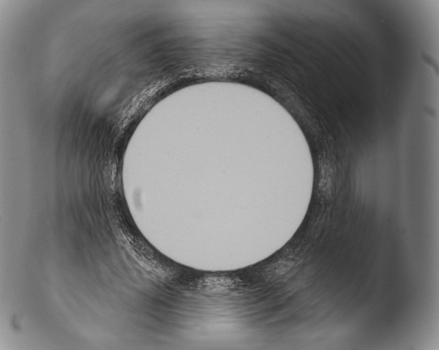 X0000103950636200810311550