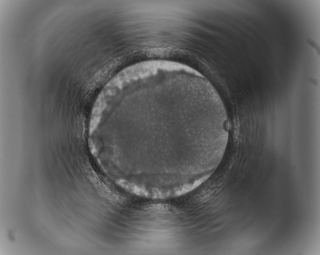 X0000103950637200810311550
