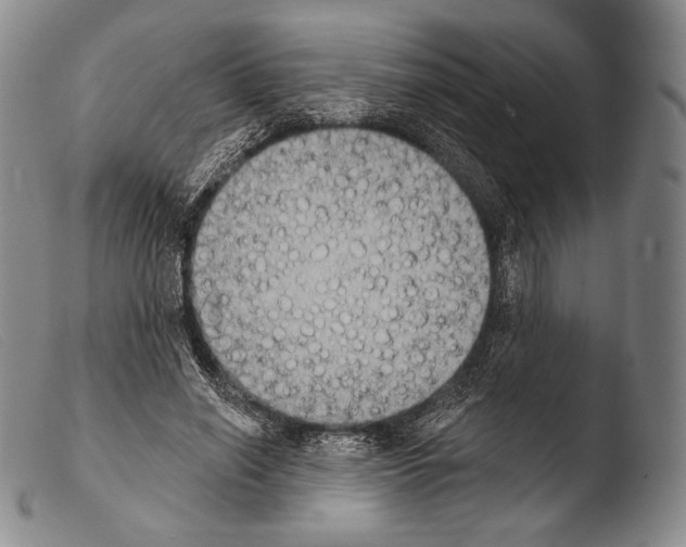 X0000103950638200810311550