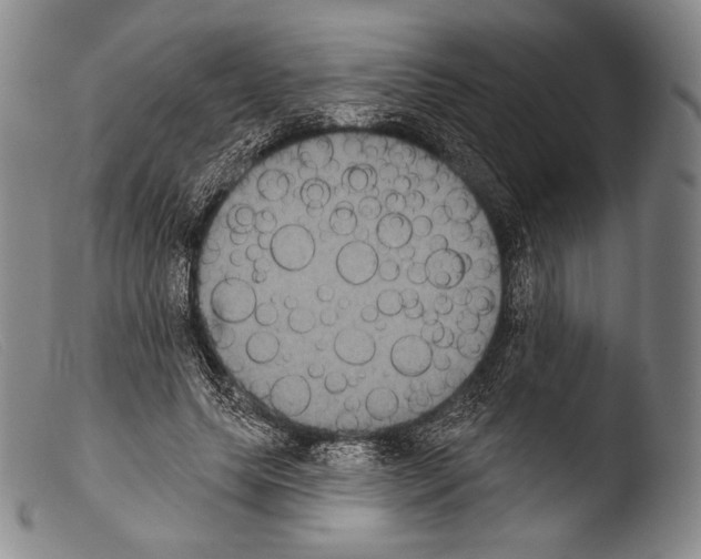 X0000103950639200810311550