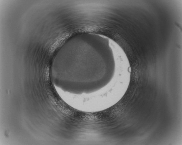 X0000103950640200810311550