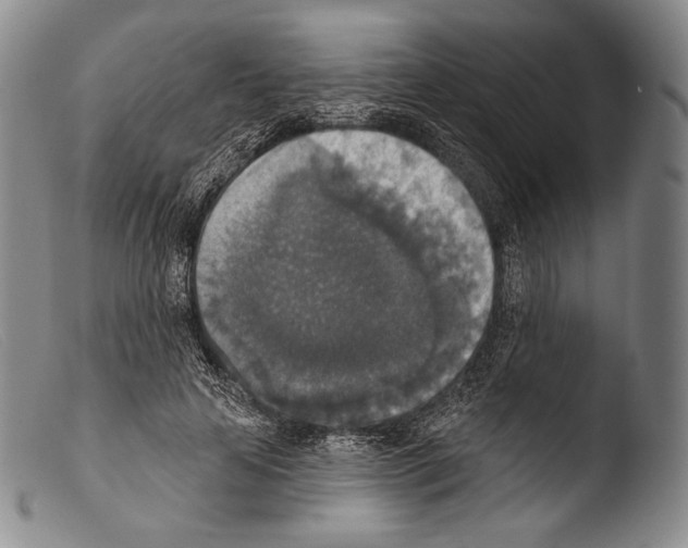 X0000103950641200810311550