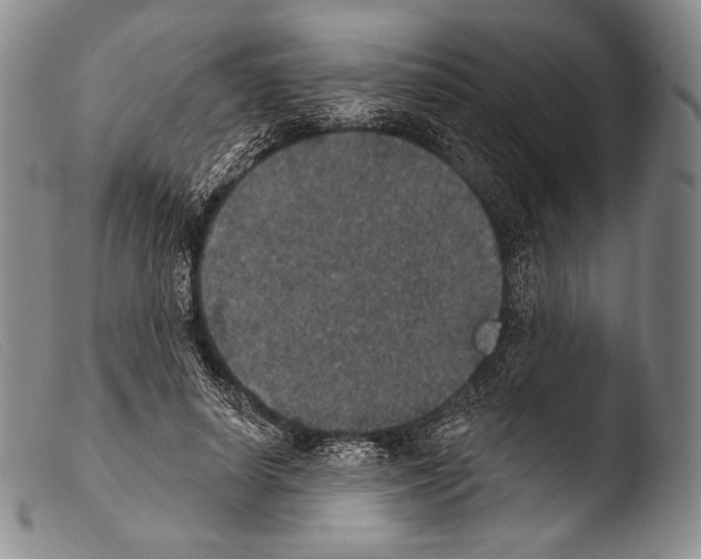 X0000103950642200810311550