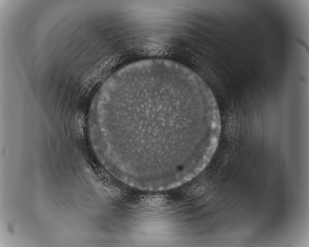 X0000103950643200810311550