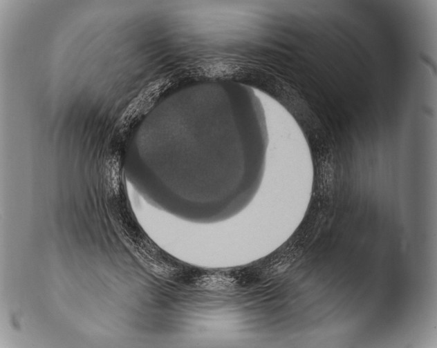 X0000103950644200810311550