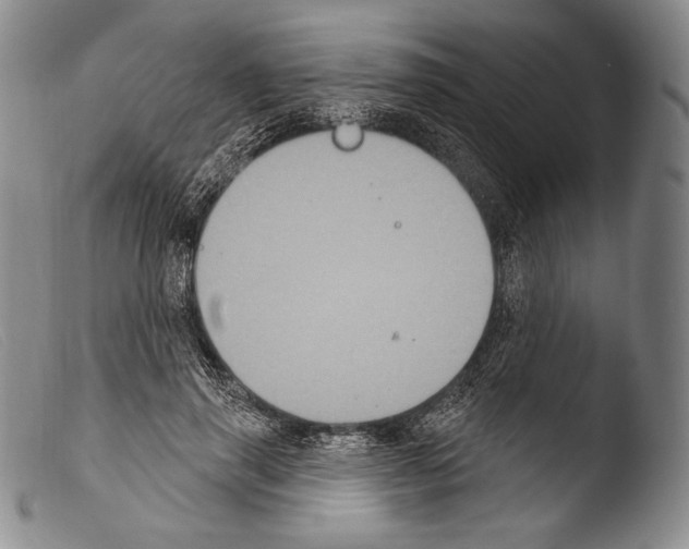 X0000103950645200810311550