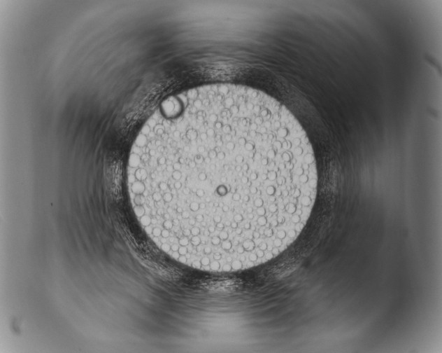 X0000103950646200810311550