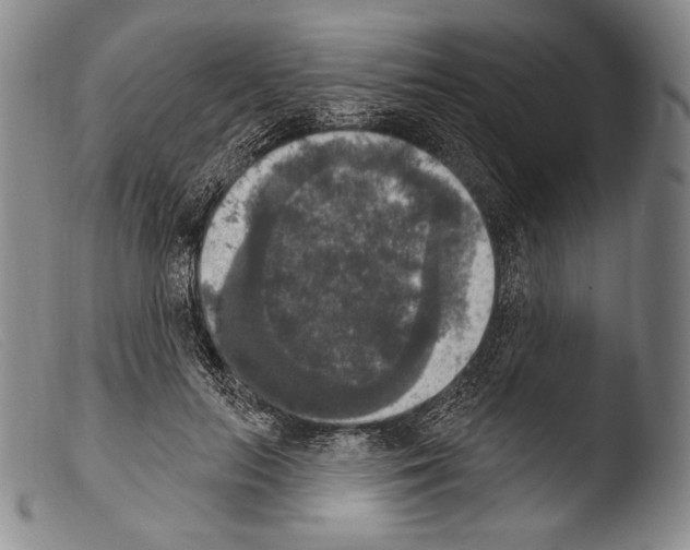 X0000103950647200810311550