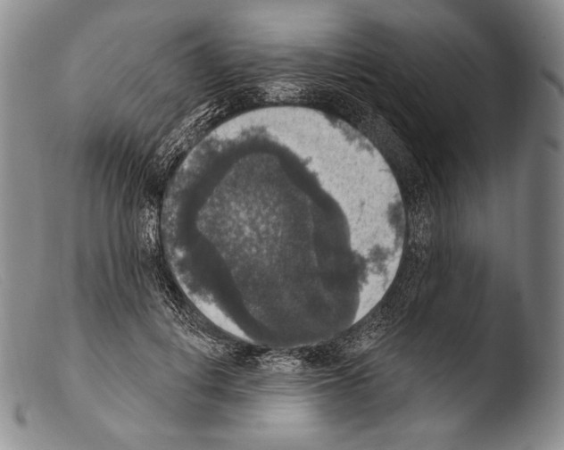 X0000103950648200810311550