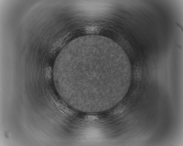 X0000103950649200810311550