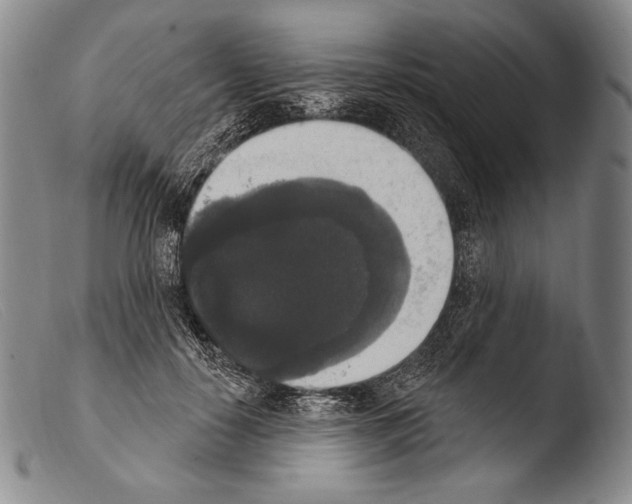 X0000103950650200810311550