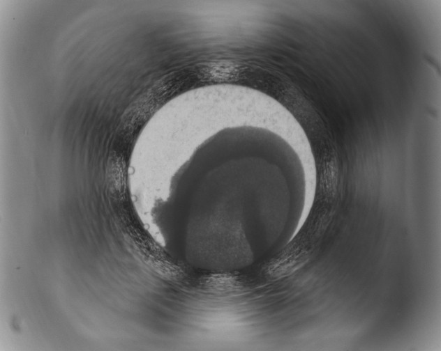 X0000103950651200810311550