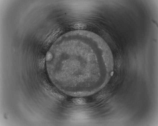 X0000103950652200810311550