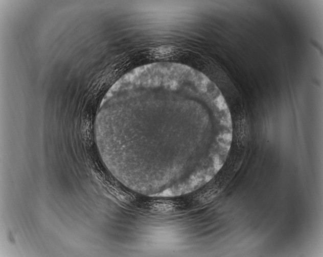 X0000103950653200810311550