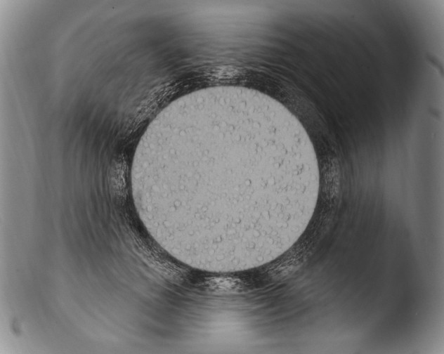 X0000103950654200810311550