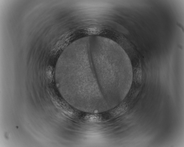 X0000103950655200810311550