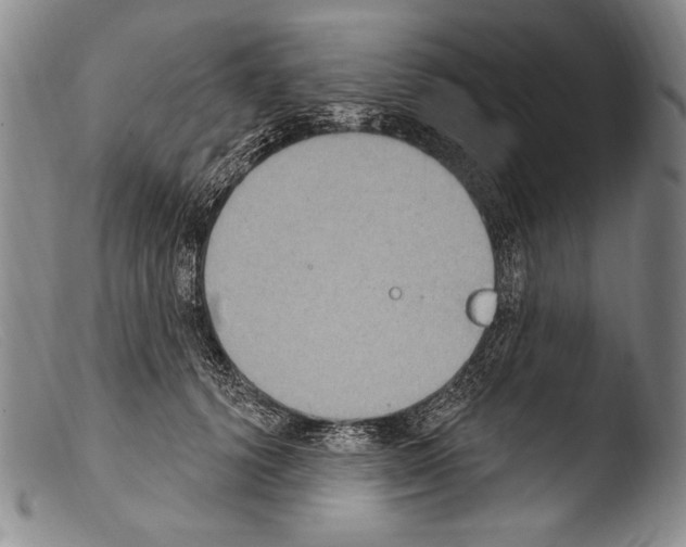 X0000103950656200810311550