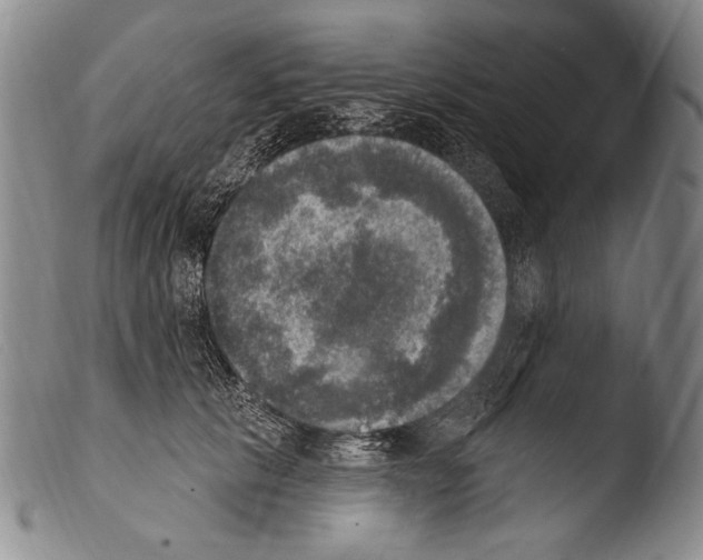 X0000103950657200810311550