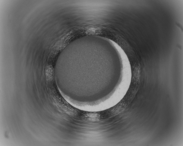 X0000103950659200810311550