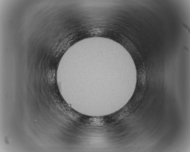 X0000103950660200810311550