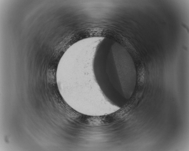 X0000103950661200810311550
