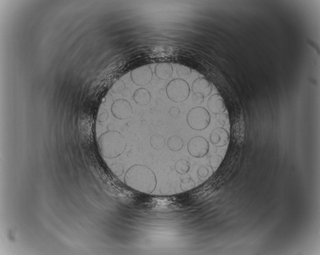 X0000103950662200810311550