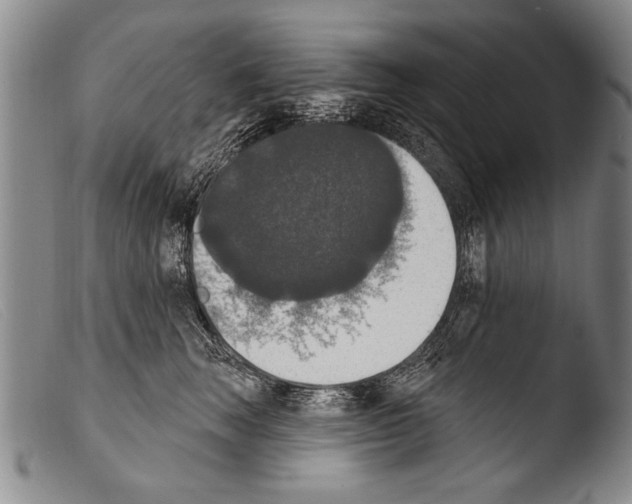 X0000103950663200810311550