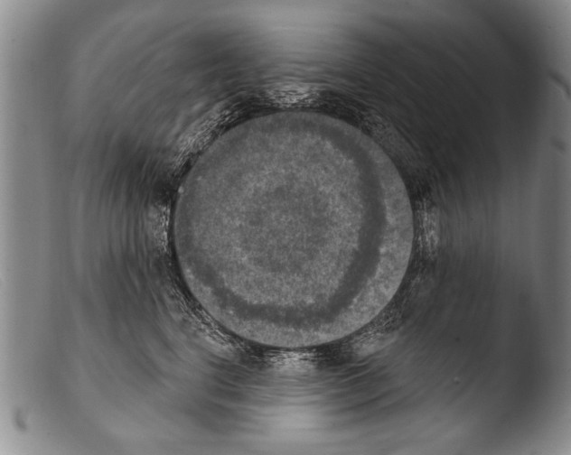 X0000103950664200810311550