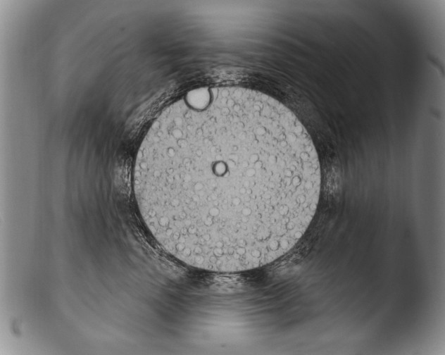 X0000103950666200810311550