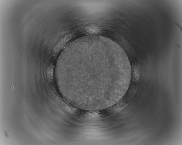 X0000103950668200810311550