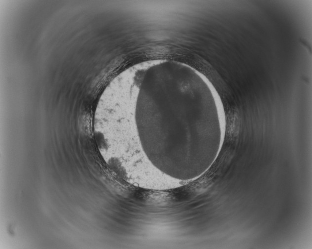 X0000103950669200810311551