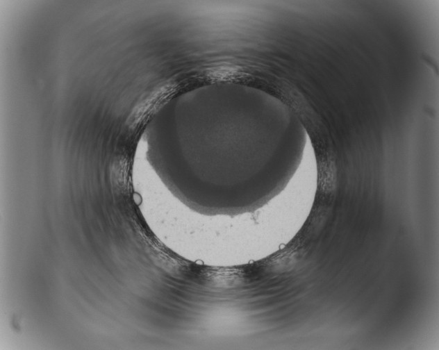 X0000103950670200810311551