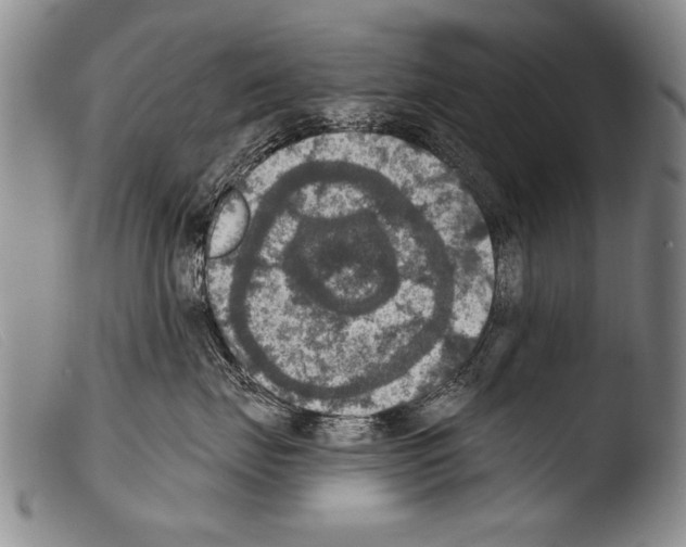 X0000103950671200810311551