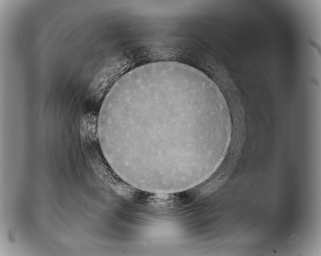 X0000103950672200810311551