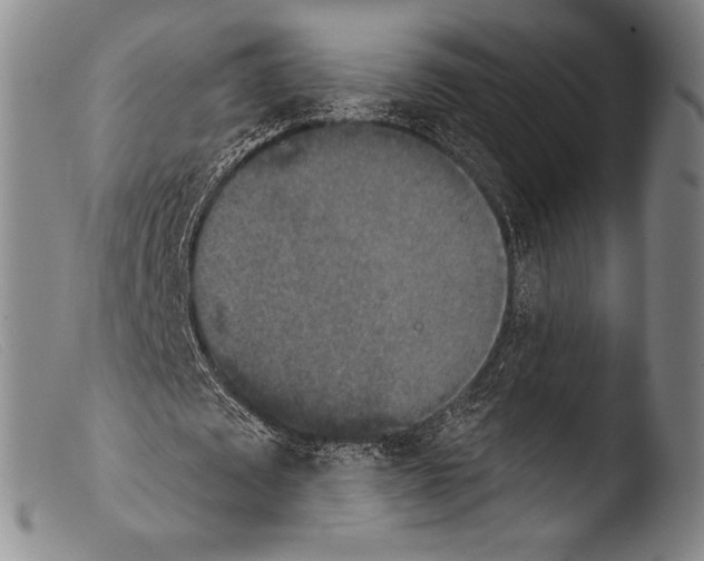 X0000103950673200810311550