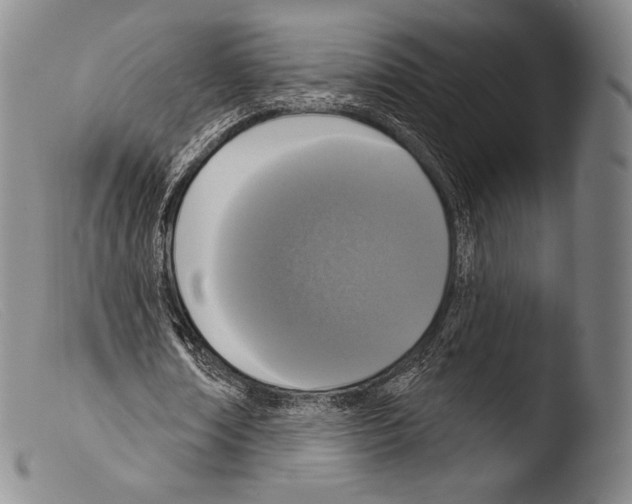 X0000103950674200810311550