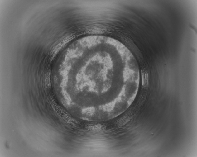 X0000103950675200810311550