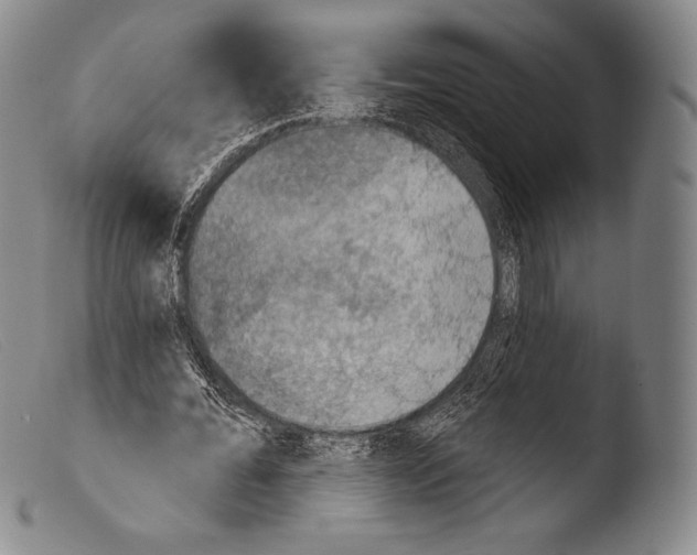 X0000103950676200810311550