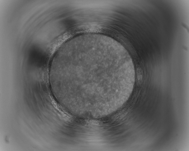 X0000103950677200810311549